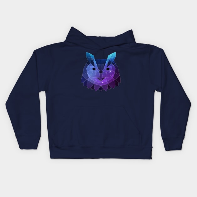 Galaxy Owl Geometric Animal Kids Hoodie by Jay Diloy